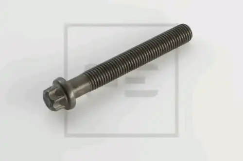 Болт головки блока цилиндра (ГБЦ) PE 030.069-00A