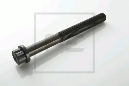 Болт головки блока цилиндра (ГБЦ) PE 010.083-00A