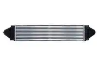 Интеркулер THERMOTEC DAI001TT
