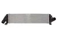 Интеркулер THERMOTEC DAV004TT