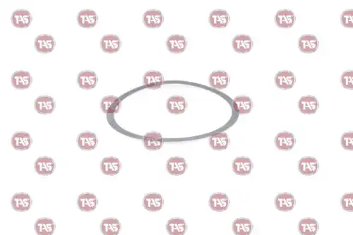 Шайба 0.30, 1104069, 114496 sca T46399 TAS