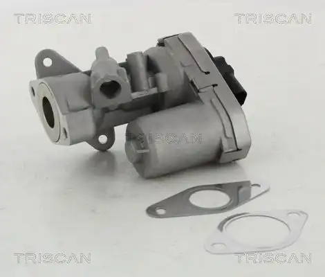 клапан 881310002 TRISCAN