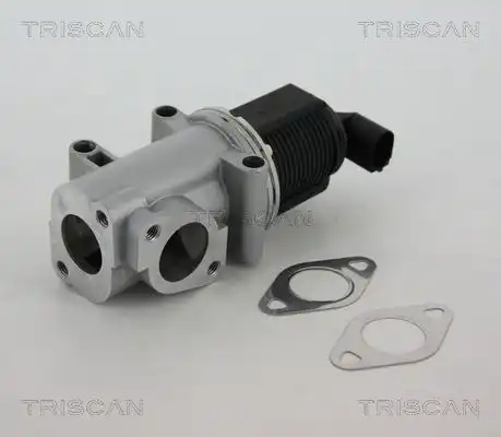 клапан 881310015 TRISCAN