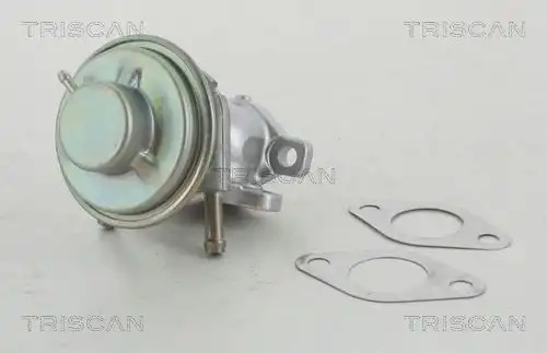 клапан 881315029 TRISCAN