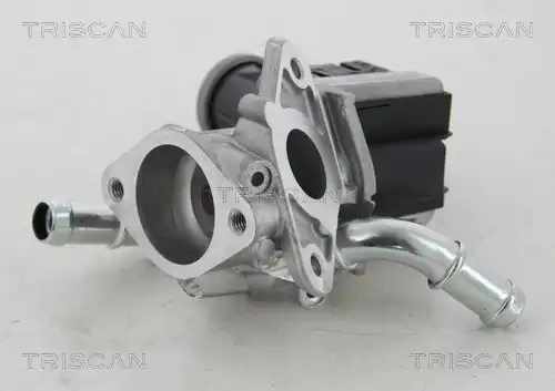 клапан 881316036 TRISCAN