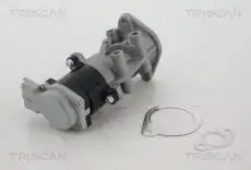 клапан 881317008 TRISCAN
