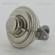 клапан 881324054 TRISCAN
