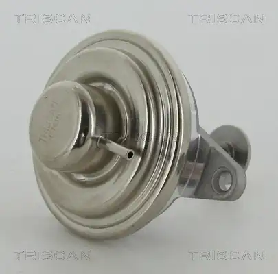 клапан 881324054 TRISCAN