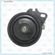Насос гидроусилителя руля GELZER H5809PA
