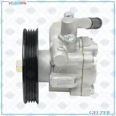 Насос гидроусилителя руля GELZER H5809PA