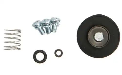 Accelerator Pump Rebuild Kit 463002 ALL BALLS