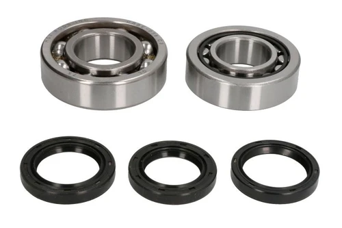 BEARINGSEAL KIT K046 HOT RODS