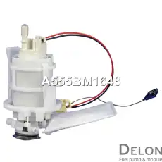 МОДУЛЬ В СБОРЕ С БЕНЗОНАСОСОМ A555BM1648 DELON