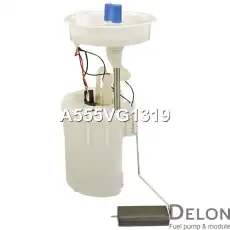 Модуль в сборе с бензонасосом A555VG1319 DELON