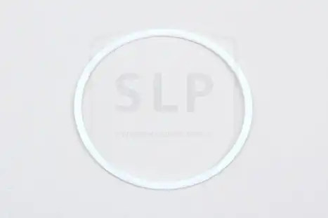 SEALING RING BR-2304 SLP