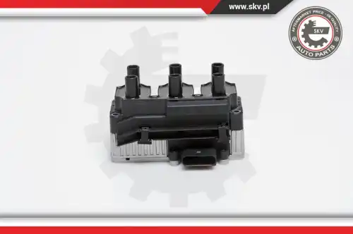 Катушка зажигания SKV 03SKV160