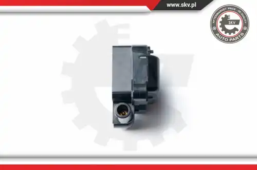 Катушка зажигания SKV 03SKV230