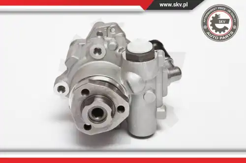 Насос гидроусилителя руля SKV 10SKV018