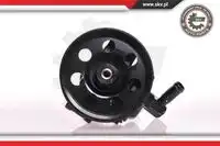Насос гидроусилителя руля SKV 10SKV019