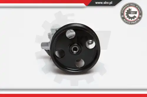 Насос гидроусилителя руля SKV 10SKV024