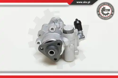 Насос гидроусилителя руля SKV 10SKV049