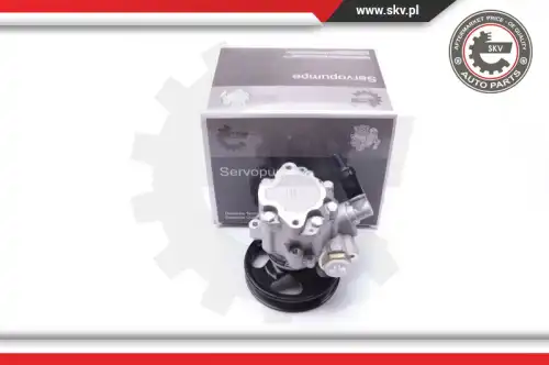 Насос гидроусилителя руля SKV 10SKV077