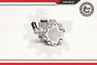 Насос гидроусилителя руля SKV 10SKV099