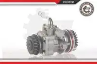 Насос гидроусилителя руля SKV 10SKV131
