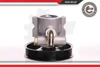Насос гидроусилителя руля SKV 10SKV142