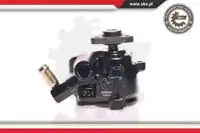 Насос гидроусилителя руля SKV 10SKV175