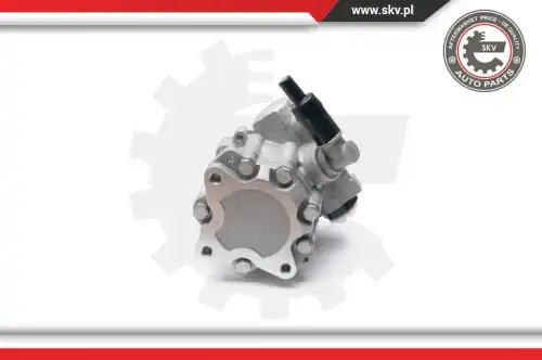 Насос гидроусилителя руля SKV 10SKV224