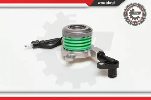 SKV 13SKV007