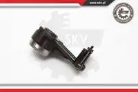 SKV 13SKV009