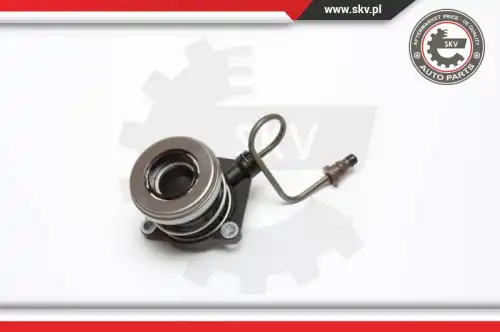 SKV 13SKV010