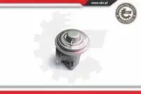 Клапан EGR FORD 14SKV098 SKV