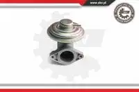Клапан EGR FORD 14SKV098 SKV