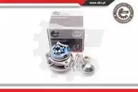 SKV 29SKV003