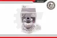 SKV 29SKV018