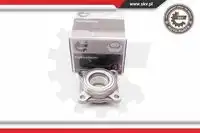 SKV 29SKV041