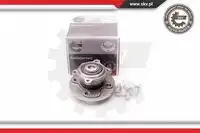 Ступица SKV 29SKV060