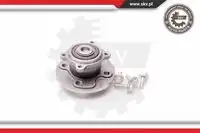 SKV 29SKV060