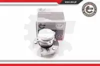 SKV 29SKV079