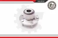SKV 29SKV081