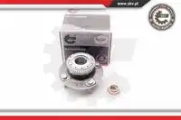 SKV 29SKV119