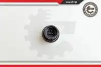 Гайка автомобильная SKV 95SKV106