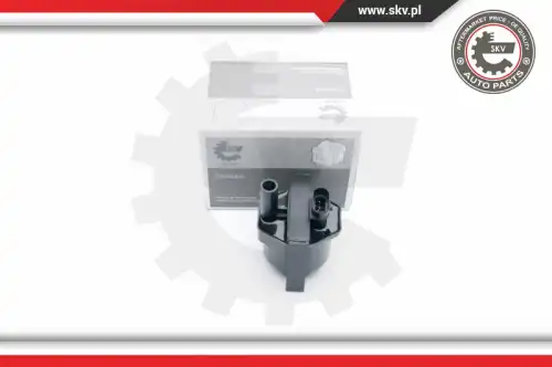 Катушка зажигания SKV 03SKV253