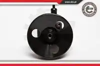 Насос гидроусилителя руля SKV 10SKV010