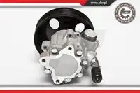 Насос гидроусилителя руля SKV 10SKV063