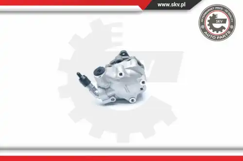 Насос гидроусилителя руля SKV 10SKV184
