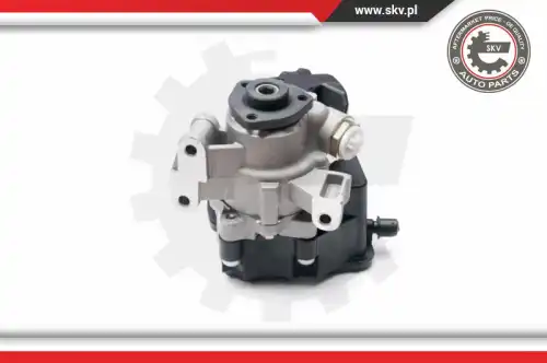 Насос гидроусилителя руля SKV 10SKV237
